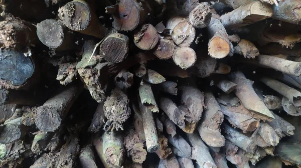 Stack Fire Wood Fried Branch Fuel — Stock Photo, Image