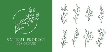 Organik, resimleme ve rozet logo şablonu bırakır. Etiket yaprağı yaprakları için minimalist pul etiketleri. El çizimi doğal işaret basit tasarım 01