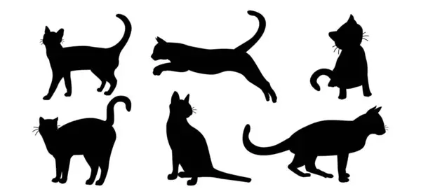 Kedi siluet vektörü Beyaz Arkaplanda izole edildi