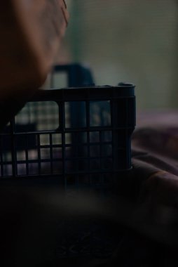 man sitting in a chair and looking at the window