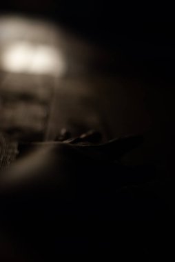 Güneşin ışığını ver