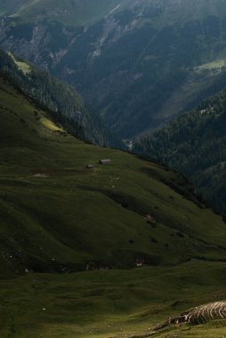 Dağları ve yeşil otları olan güzel bir manzara.