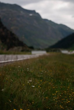 beautiful view of the mountains in Alps