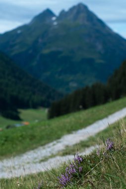 Dağlarda dağları olan güzel bir manzara.