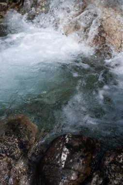 Ormanda güzel bir şelale