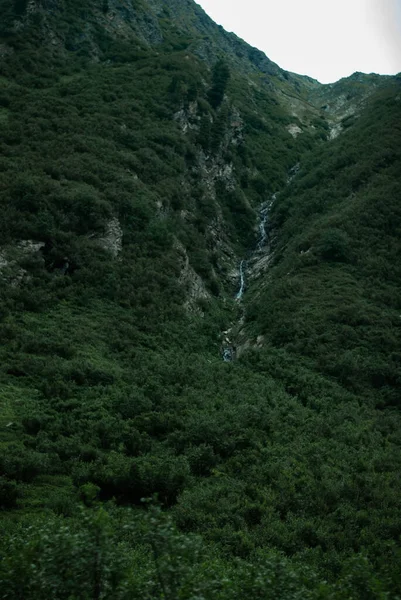 Paisaje Montaña Con Árboles Verdes — Foto de Stock