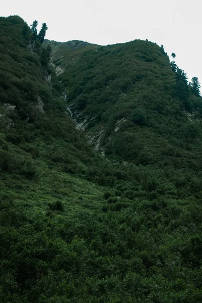 Hermoso Paisaje Con Una Montaña — Foto de Stock