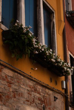 Şehrin güzel manzarası