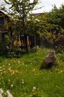 Ormanda küçük bir evin büyük ahşap çiti.
