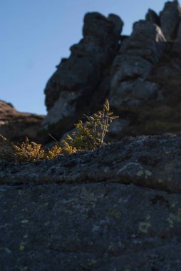 Gün ışığında dağlardaki taşlara bak.