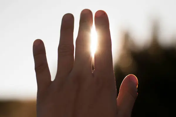 Vista Uma Mão Luz Solar — Fotografia de Stock
