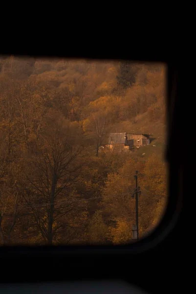 View on trees in autumn through window in a train