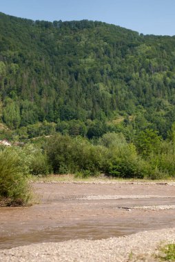 Arka planda orman olan bir nehrin dikey görüntüsü.