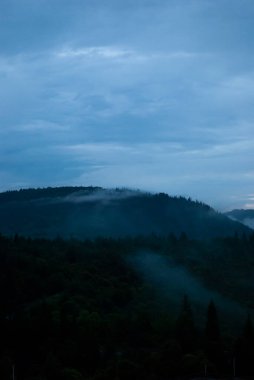 Ağacı olan güzel bir manzara