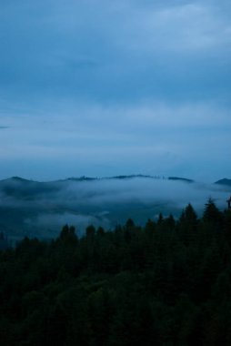 Sonbahar mevsiminde Karpat Dağları 'ndaki sisli karanlık orman.