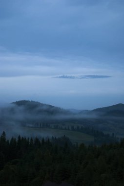 Ormanın üzerinde güzel bir gün batımı