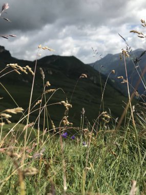 Dağlarda dağları olan güzel bir manzara.