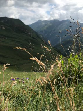 Dağlarda dağları olan güzel bir manzara.
