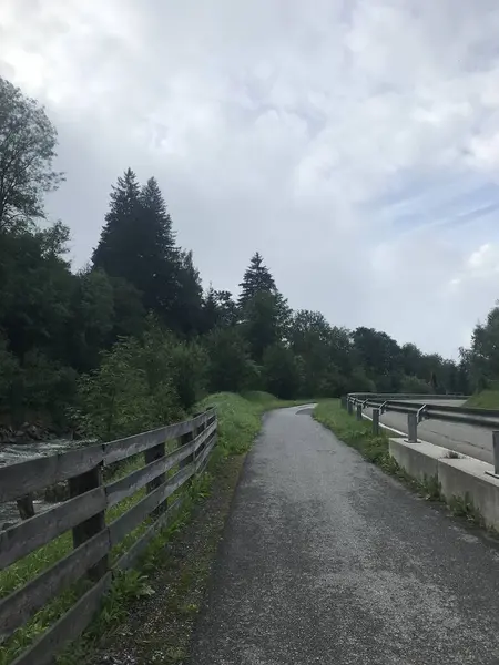 Ağaçların ve yeşil çimenlerin arasından geçen güzel bir yol görüntüsü.