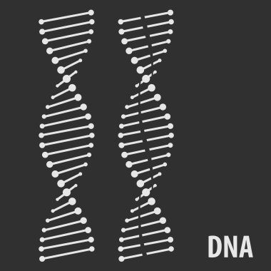 DNA Helix ikonu, insan genetik sembolü. Vektör illüstrasyonu