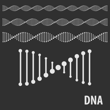 DNA sarmalsız desen, insan genetik sembolü. Vektör illüstrasyonu