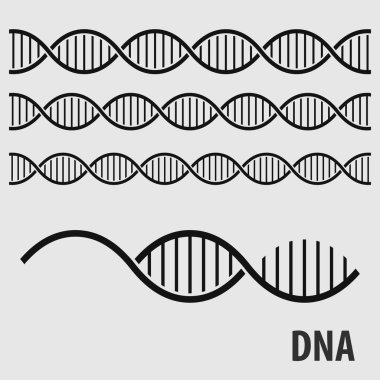 DNA sarmalsız desen, insan genetik sembolü. Vektör illüstrasyonu