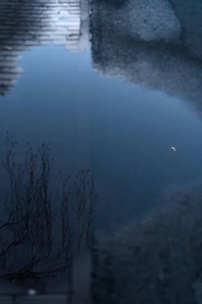 在夜晚的月亮和星星的水坑里 美丽的森林景观映照的风景如画 — 图库照片