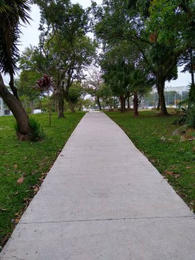 park on a background of the green grass, a bench and a small tree