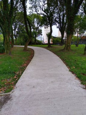 Şehir parkının güzel manzarası