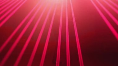 Laser beams fanning out from top to bottom,illuminate silhouettes of male and female ballroom dancers standing on stage facing each other,man holds woman by waist,they are bending backwards as flower