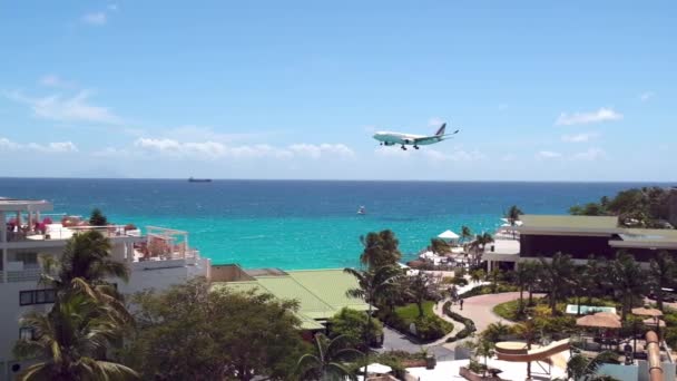Summer Holidays Caribbean Islands Ocean Travel Experiences — Stok video