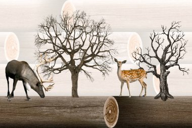 Banyo için renkli dijital duvar fayansları.