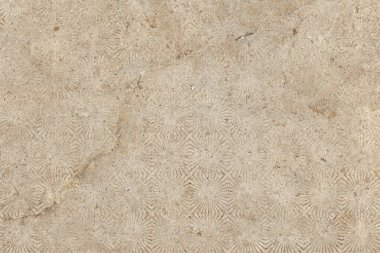 3D Seamless Ceramic Wall tiles design Texture Wallpaper design Pattern Graphics design Art Background. Ceramic Floor Tiles And Wall Tiles Natural Marble High Resolution Granite Surface Design