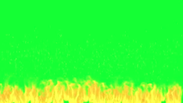 Fuoco Selvaggio Con Schermo Verde — Video Stock
