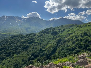 Ermenistan 'daki Meghri Geçidi yakınlarında yeşil vadileri olan güzel dağ sıraları.