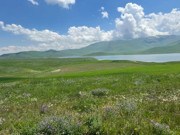 Schöne Landschaft Den Bergen Armeniens Mit See — Stockfoto