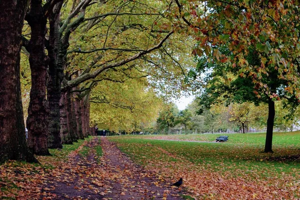 Hyde Park Jeden Londonových Osmi Royal Parků Kvalitní Fotografie — Stock fotografie