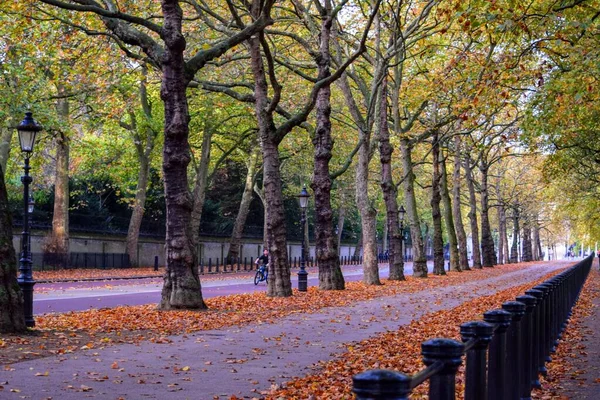 Hyde Park Londons Åtta Kungliga Parker Högkvalitativt Foto — Stockfoto