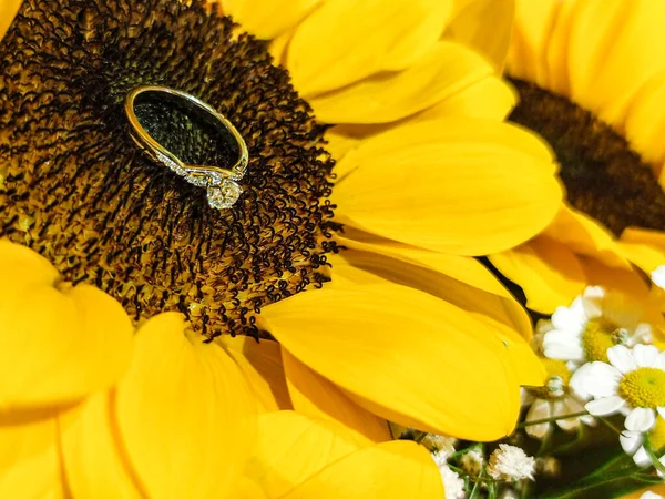 Nişan Yüzüğü Ayçiçekleri Içinde Yakın Çekim Yüksek Kalite Fotoğraf — Stok fotoğraf