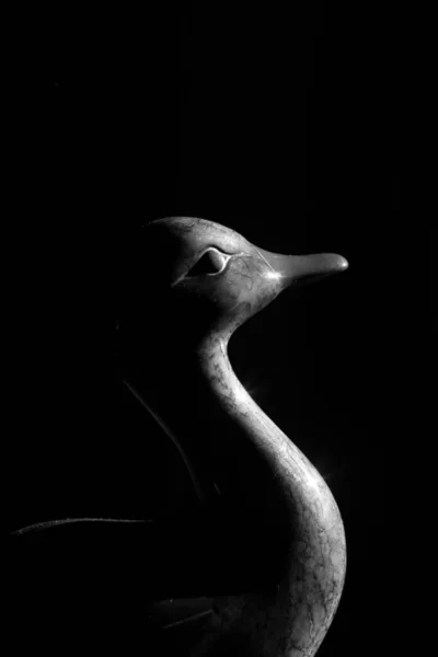 一只有阳光和黑暗的树脂鸭 — 图库照片