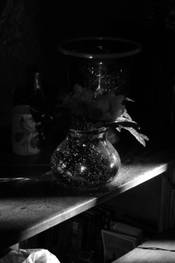 Güneşle aydınlatılan bazı çiçekler 