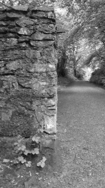 Parktaki nehrin güzel manzarası