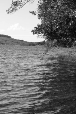 Sudaki gölün siyah beyaz görüntüsü