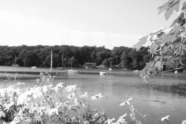 Güzel doğa manzarası