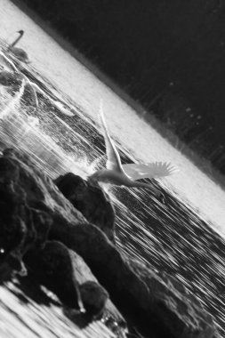 Şehrin güzel manzarası