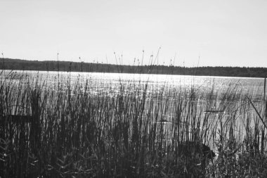 Doğanın güzel manzarası