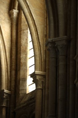 Varsayımın Katedrali