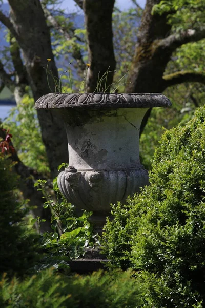 Closeup of a celtic amphora surrounded by trees