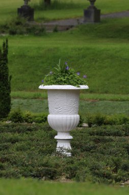 Güzel botanik bahçesi, çiçekler ve bitkiler