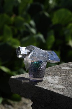 Güzel botanik fotoğrafı, doğal duvar kağıdı.